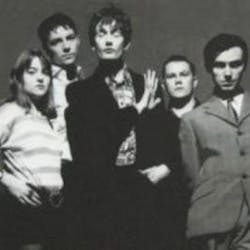 Pulp